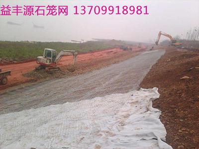 雷诺护垫7