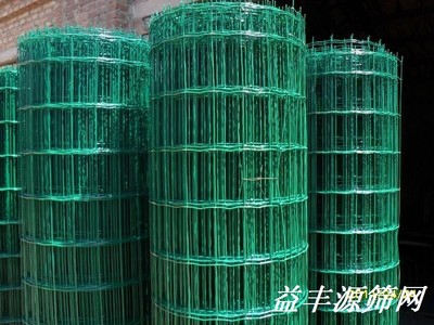 荷兰网