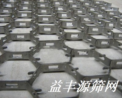 碳钢龟甲网1