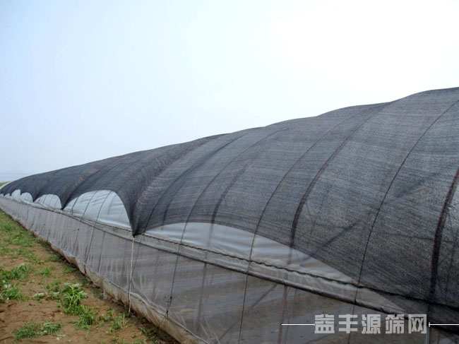 影响因素与选购指南全解析