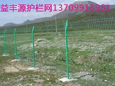双边丝护栏网6