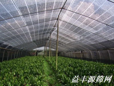 遮荫网