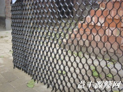 不锈钢龟甲网
