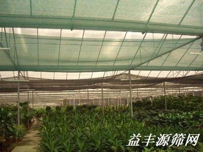 遮阳网4
